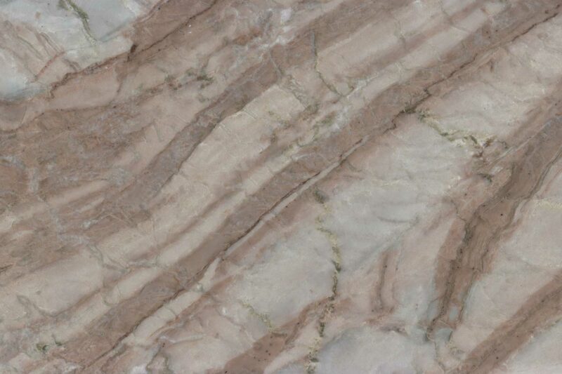 Corteccia