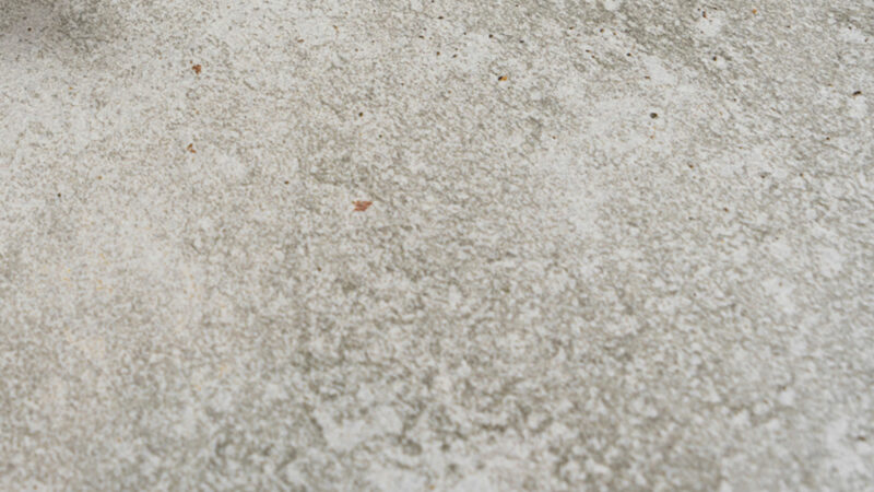 Neolith New York