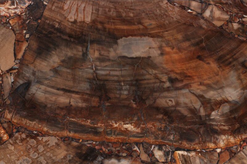 Brown Petryfied Wood