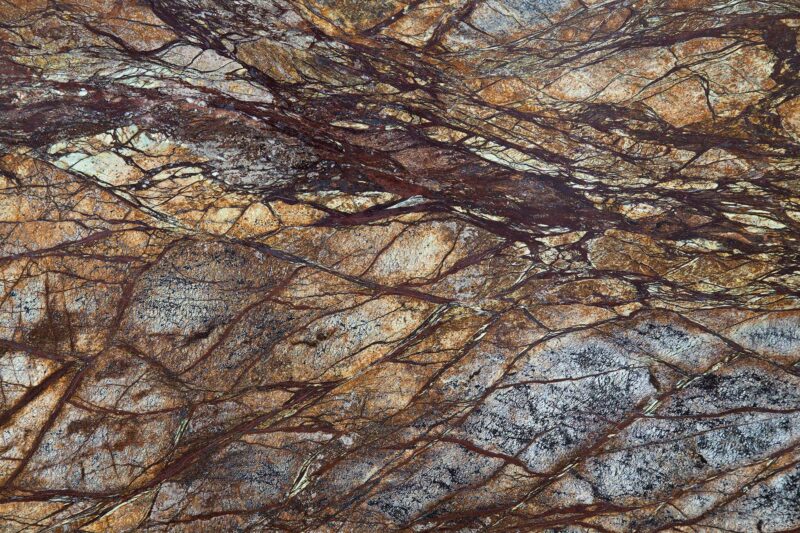 Rainforest Brown