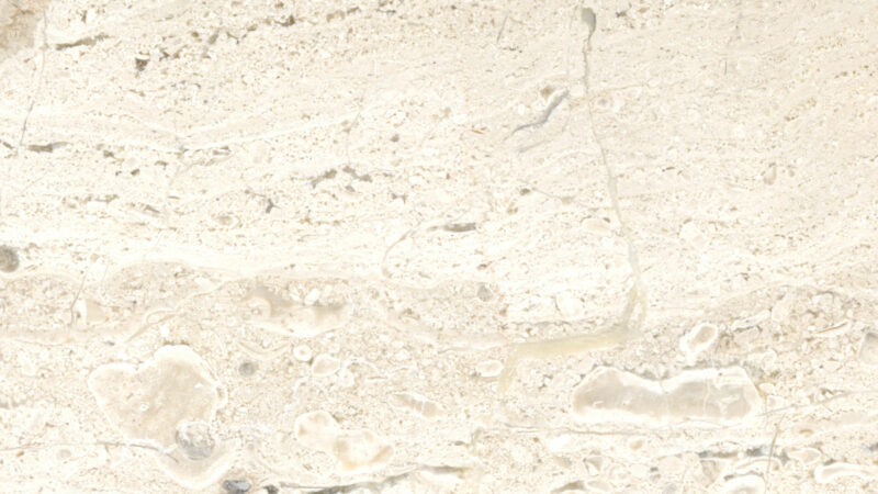 Daino / Breccia Sarda