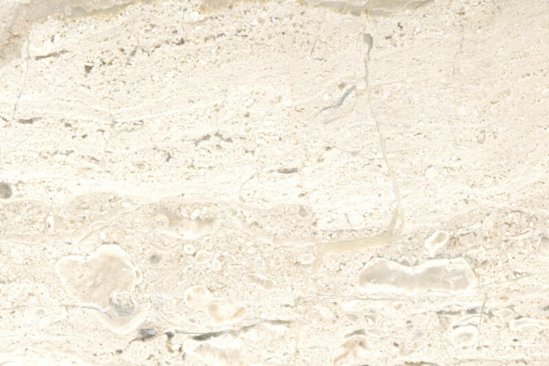 Daino / Breccia Sarda