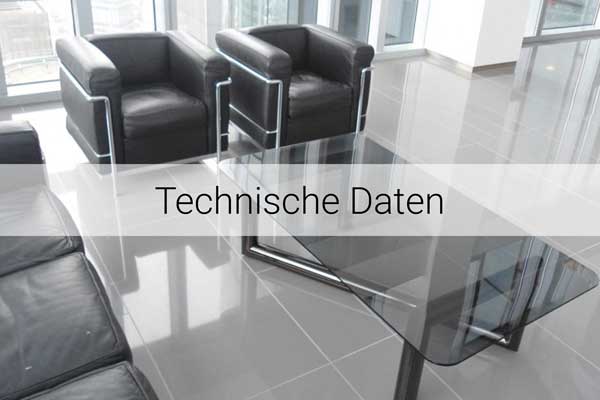 diresco-technische-daten-600×400