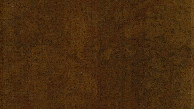 FS6061 Metallic Brown