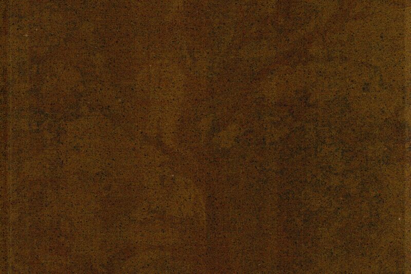 FS6061 METALIC BROWN