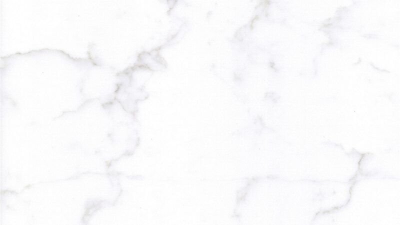 FS8416 White Swan