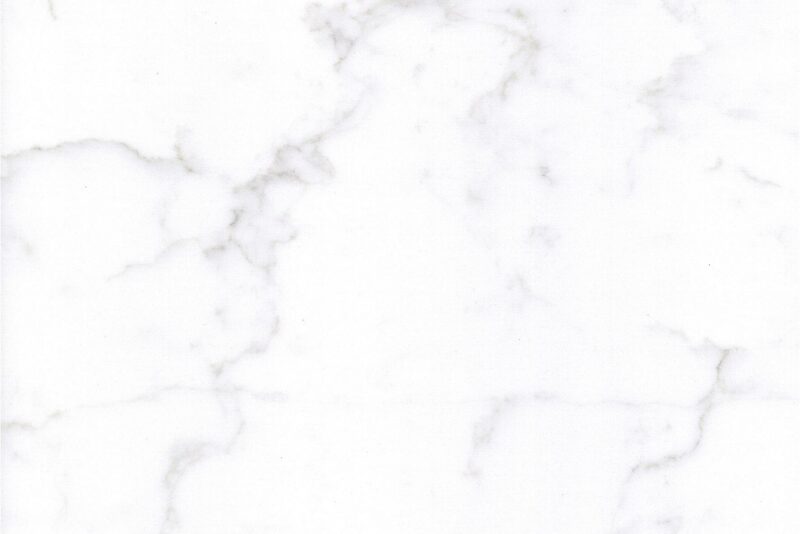 FS8416 White Swan