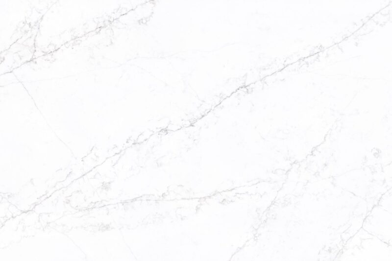 FS8416 White Swan – Bild 2