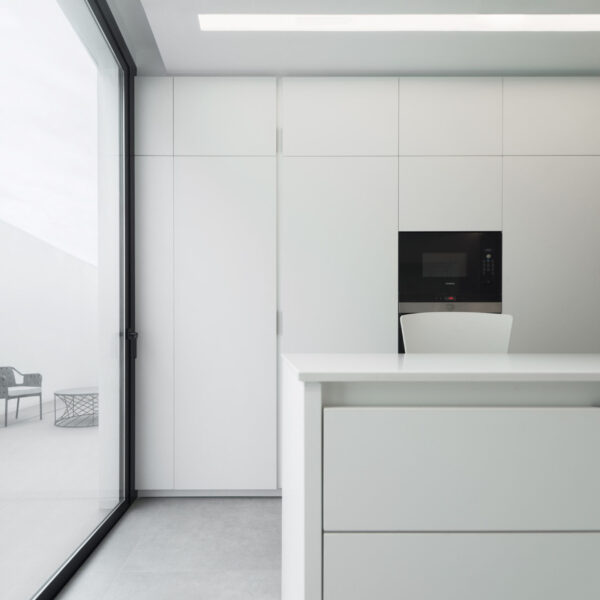 Arctic White cladding scaled