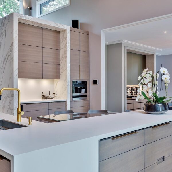 Arctic White countertop