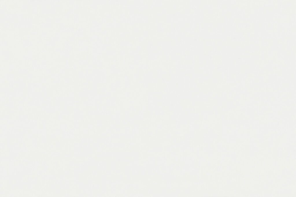 FS1003 Basic White