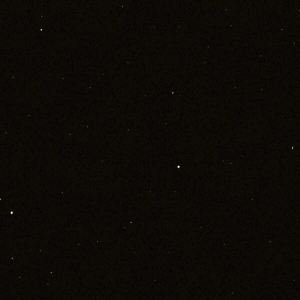 FS5081 BLACK DIAMOND