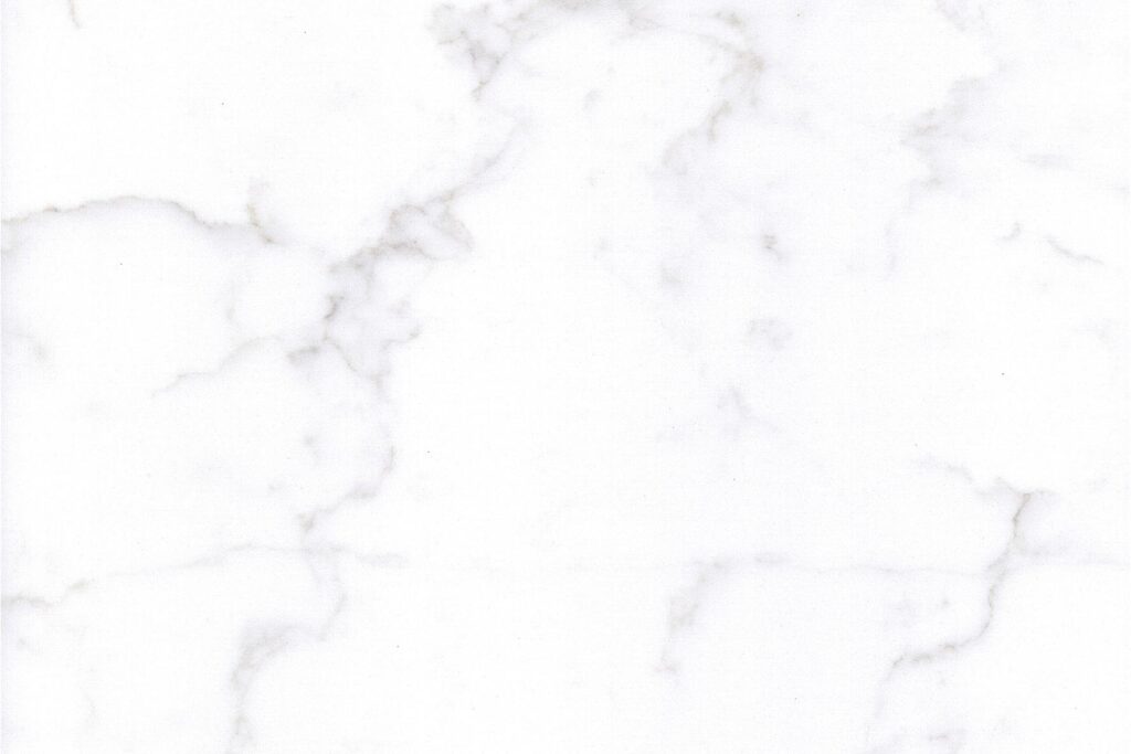 FS8416 White Swan