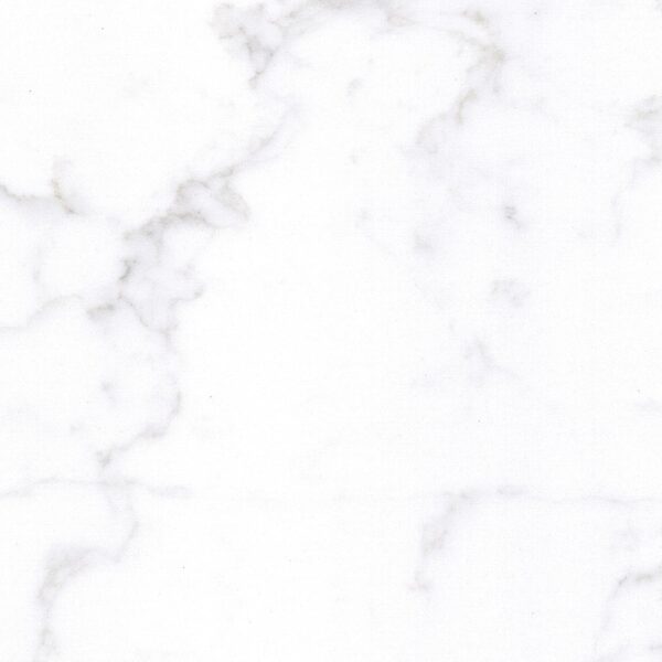FS8416 WHITE SWAN