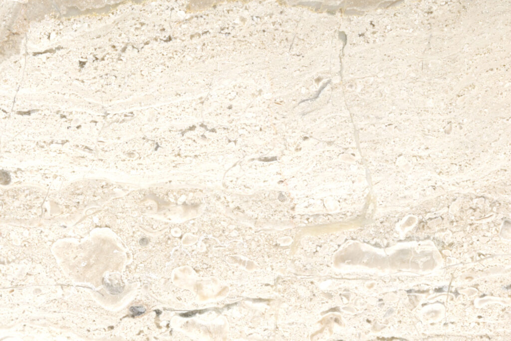Daino / Breccia Sarda
