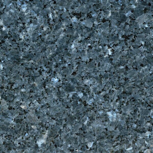 Labrador Blue GT Lundhs Blue