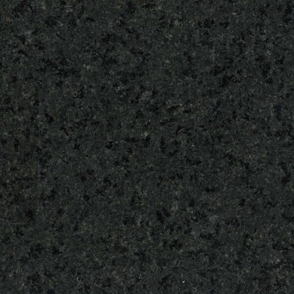 New Cambrian Black
