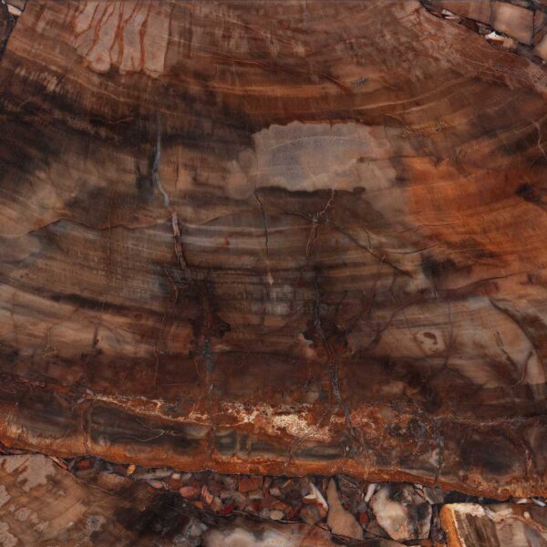 Brown Petryfied Wood