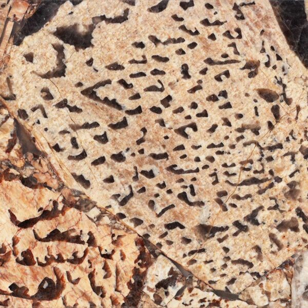 Graphic Feldspar