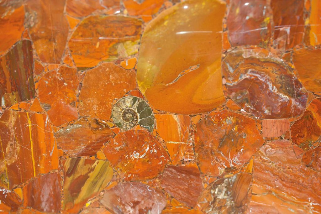 Red Jasper Fossil