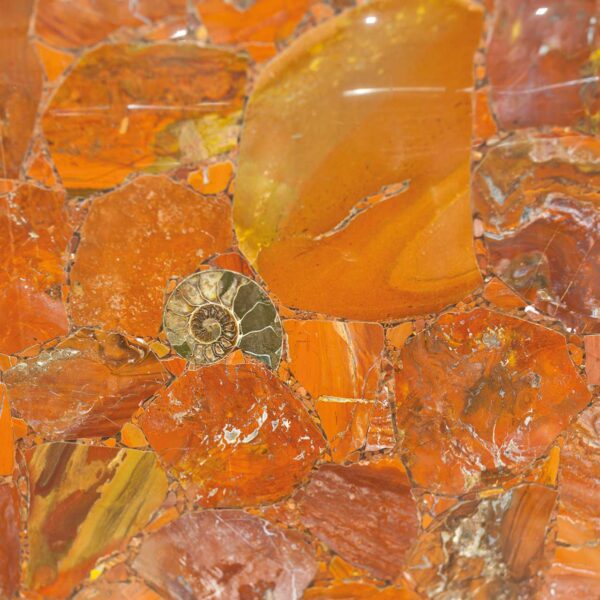 Red Jasper Fossil