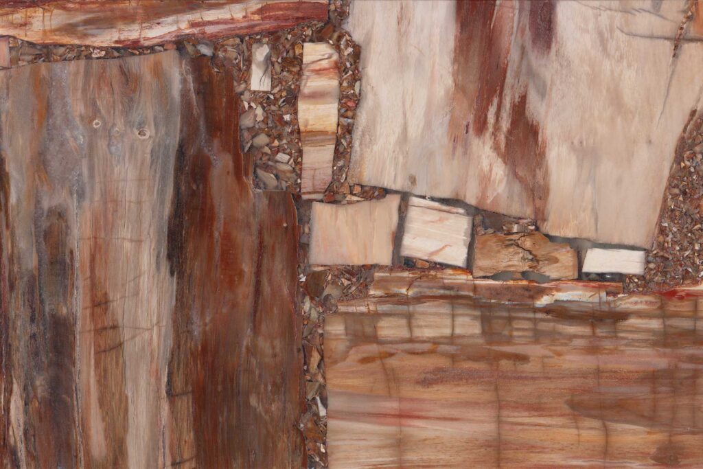 Retro Petrified Wood