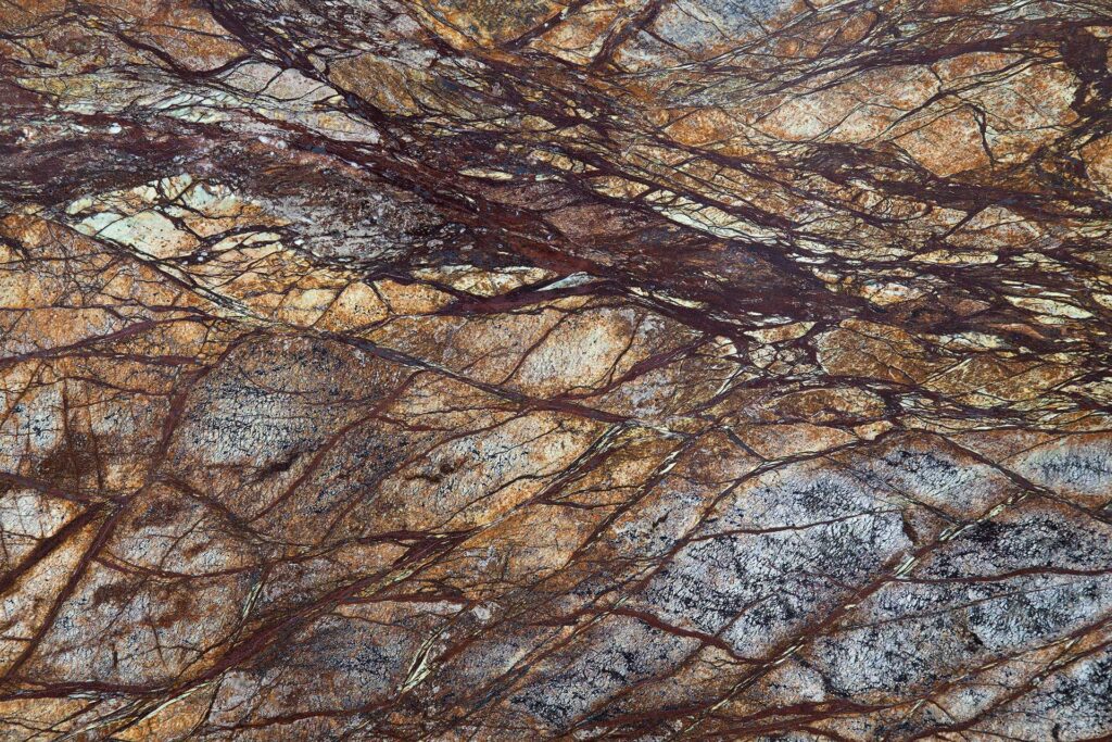 Rainforest Brown