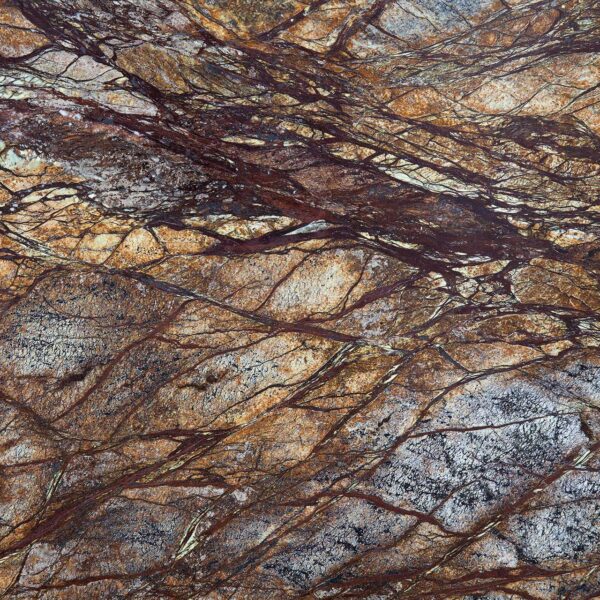 Rainforest Brown